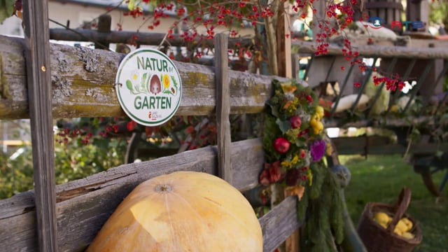 bischofshofen-der-landesverband-fuer-obst-und-gartenbau-wurde-100-jahre