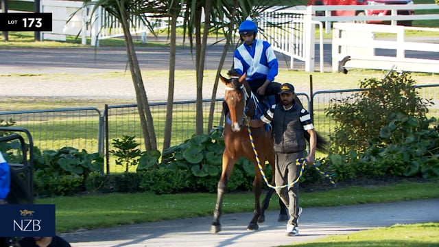 Lot 173