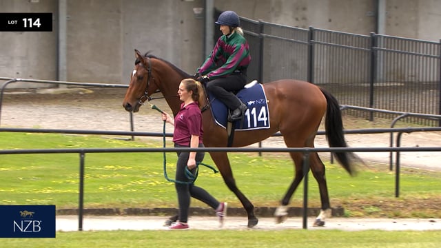 Lot 114