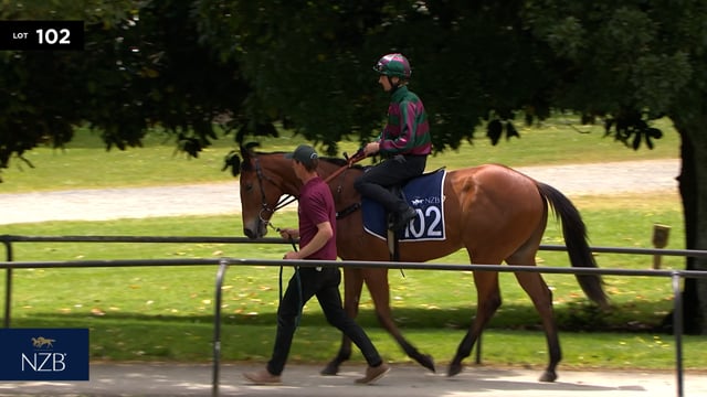 Lot 102
