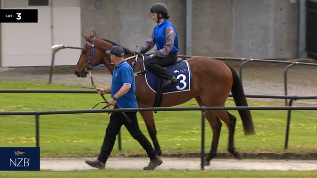 Lot 3