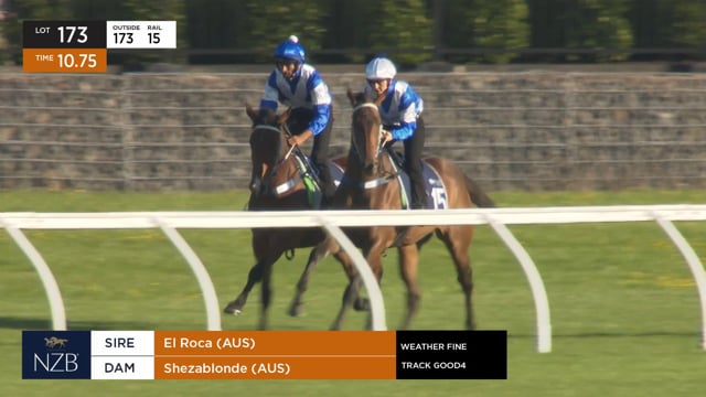 Lot 173