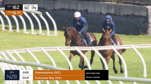 Lot 162