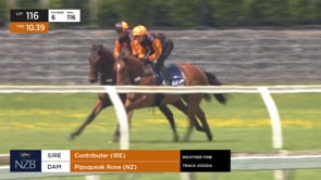 Related Embedded Video Item Thumbnail