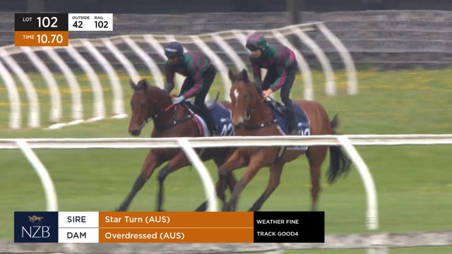 Lot 102