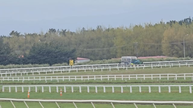Lot 342