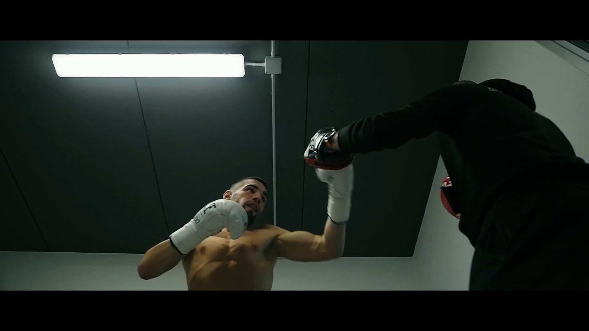 A breath before Bestia