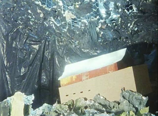 image du film 'L'Arche de Noé'