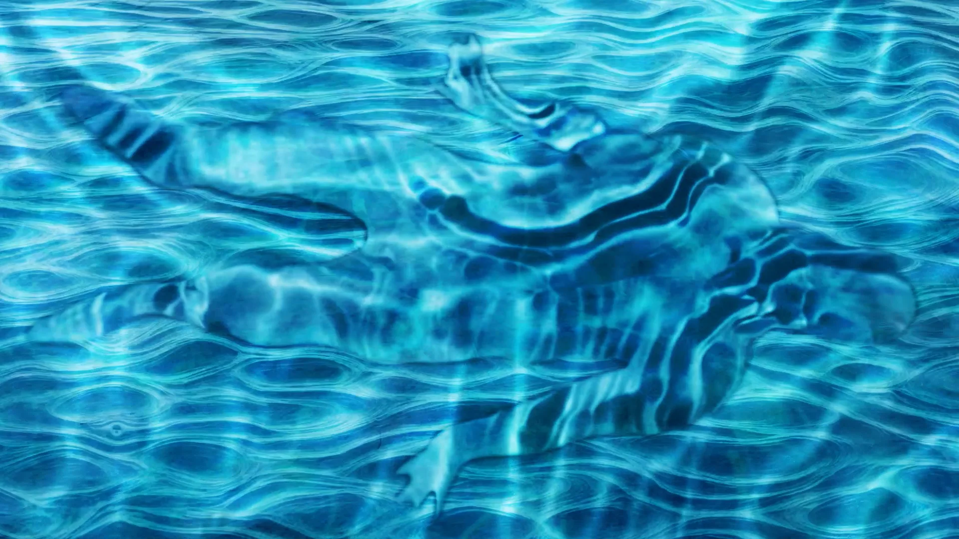 Reflecting Pool — Scott N Andrew