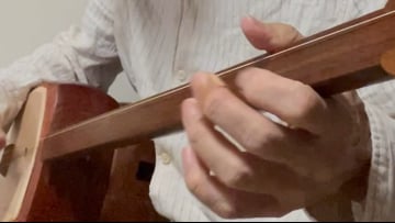 レア楽器シャズセンダブルボディ細棹