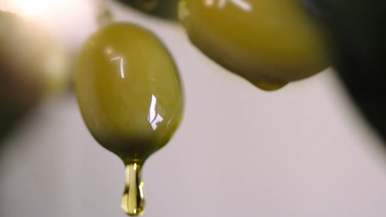 ZER Gıda – Zeytin Yağı TVC 36sn