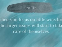 Lesson 8: Building from Small Wins