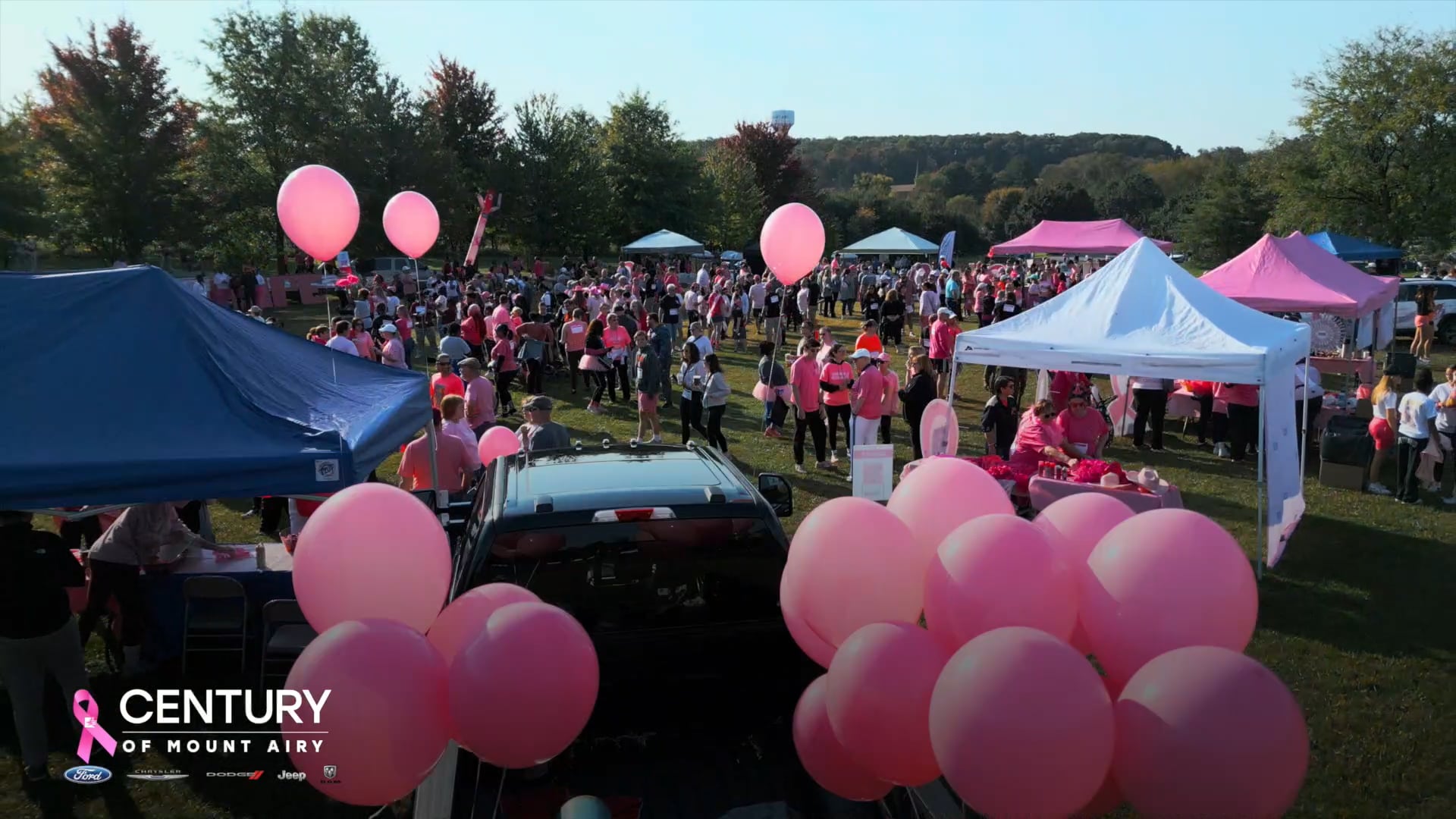 Breast Cancer Walk Recap