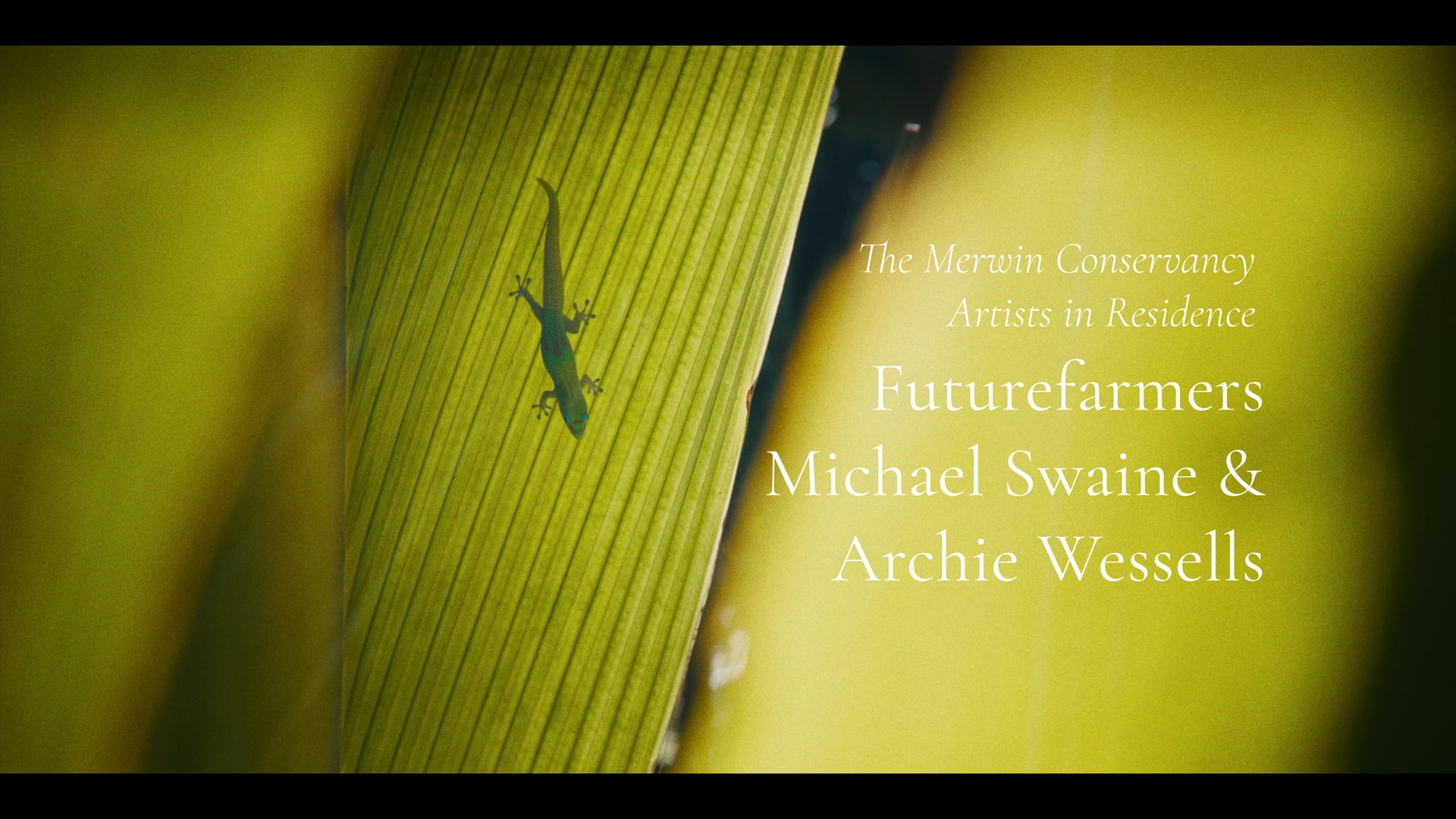 Artists In Residence: Futurefarmers Michael Swaine & Archie Wessells