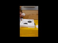 Arniette Mini Hive Lyson
