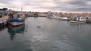 Les tonyines tornen al port de l'Escala