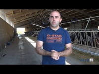Especialistas en vacas produtoras e lonxevas