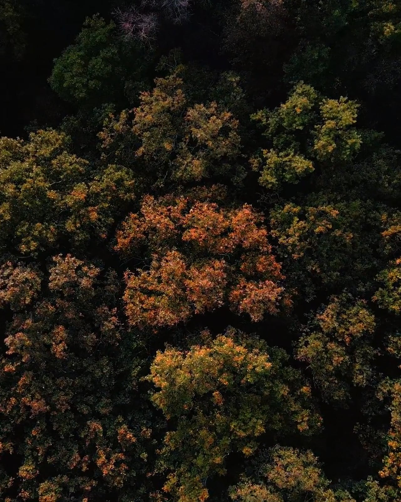 Noordwijk in de herfst