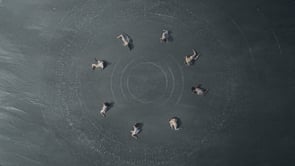 Trinity of Sound - Uturn Premiere Heure - Cartier