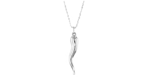 14kt White Gold Italian Horn Pendant
