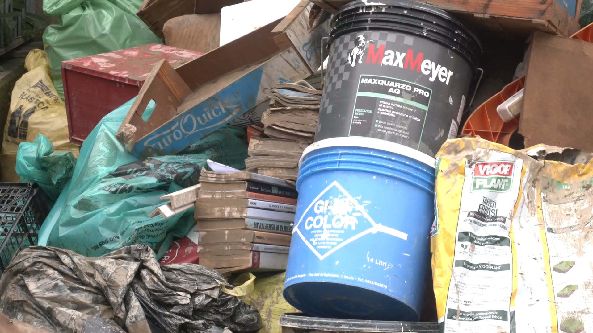 Sciacalli in azione al Farneto