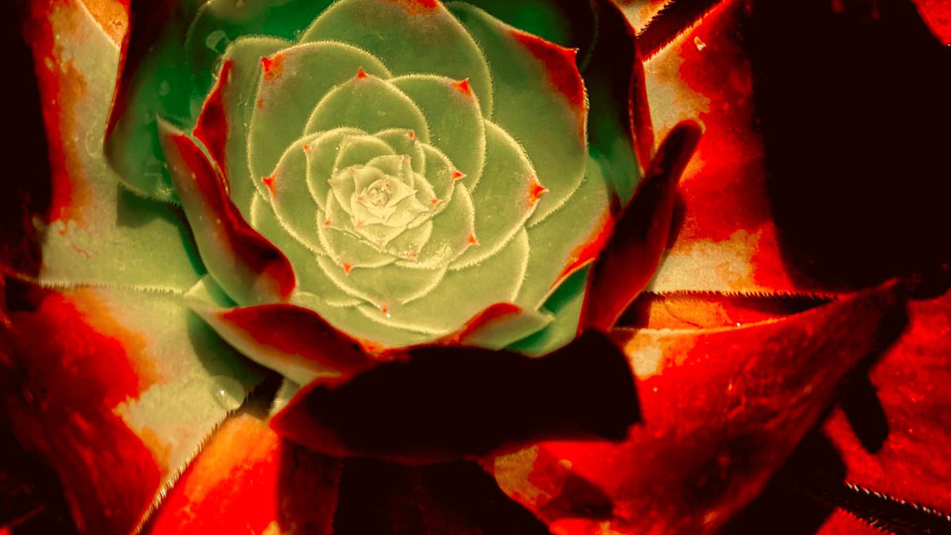 2024 October 16: Investigation: Come and See for Yourself