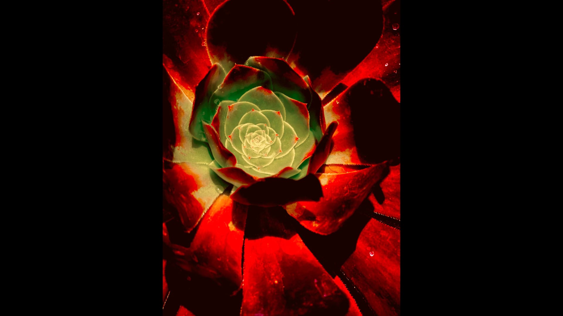 2024 October 16: Investigation: Come and See for Yourself