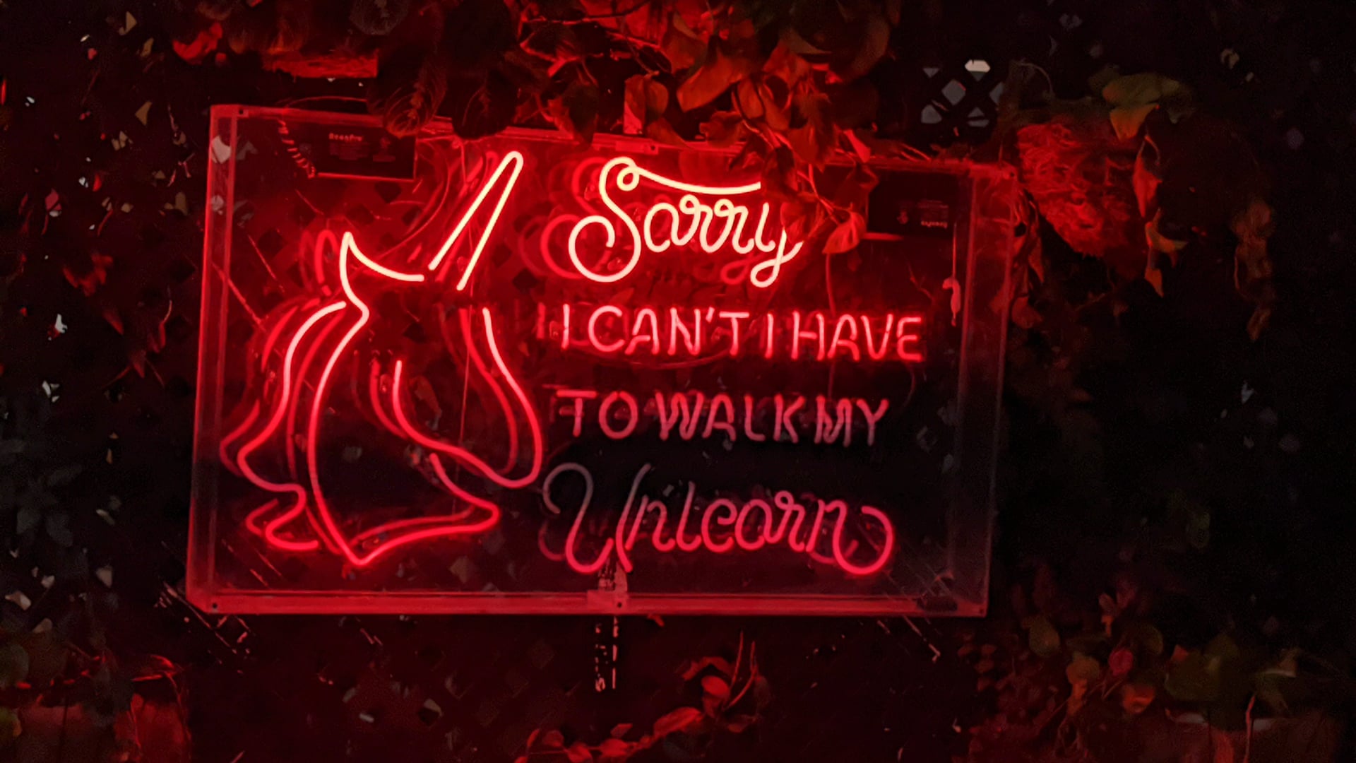 2024 October 21: Investigation of the Heart