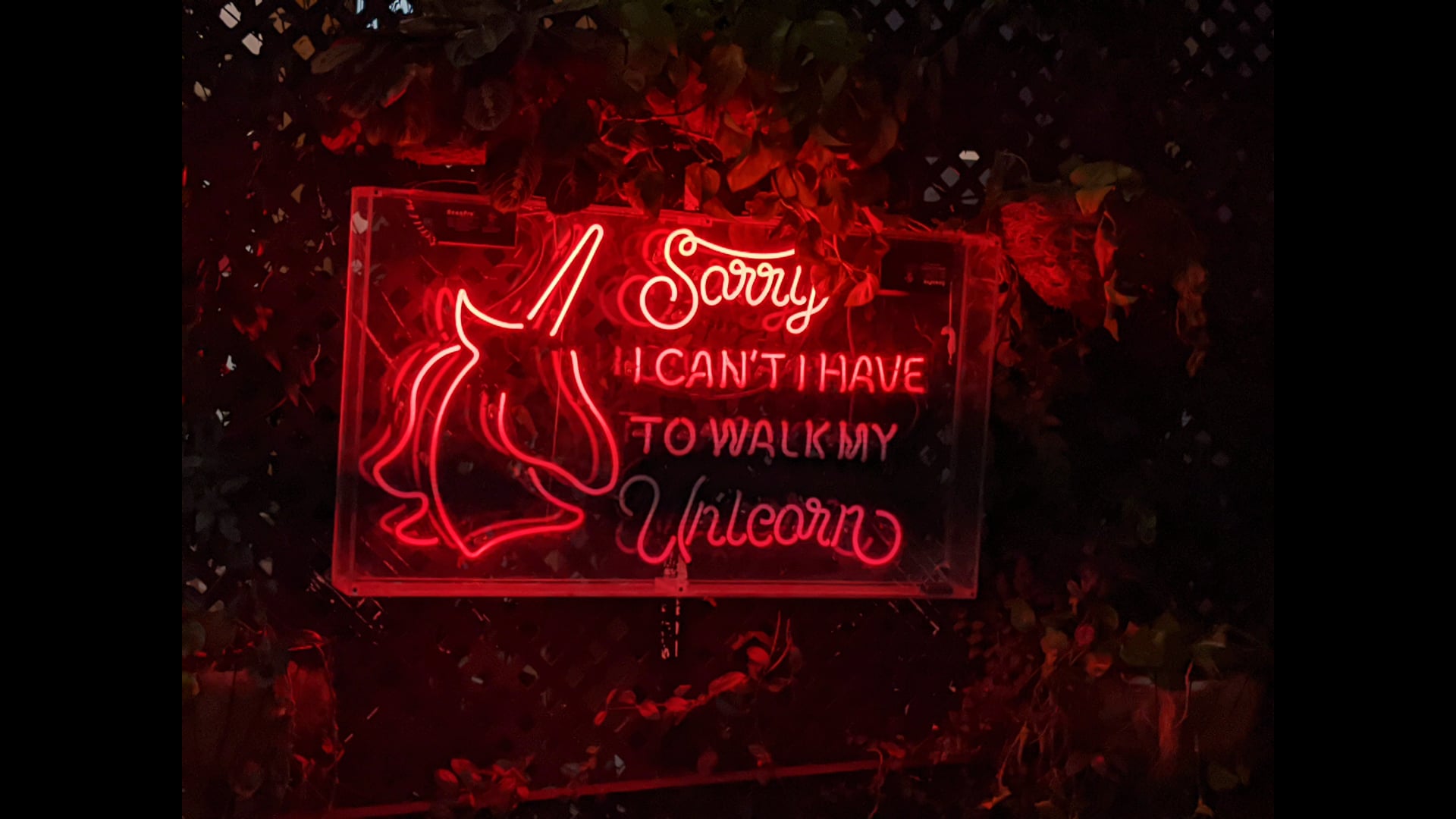 2024 October 21: Investigation of the Heart