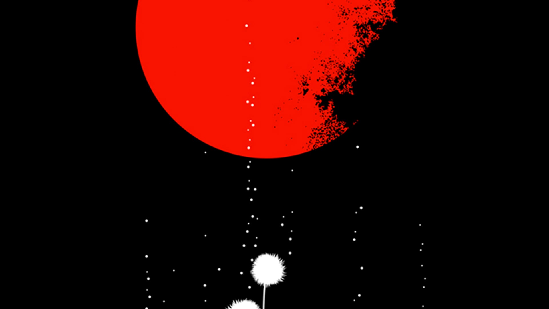 2024 October 23: Investigation and Beginner’s Mind