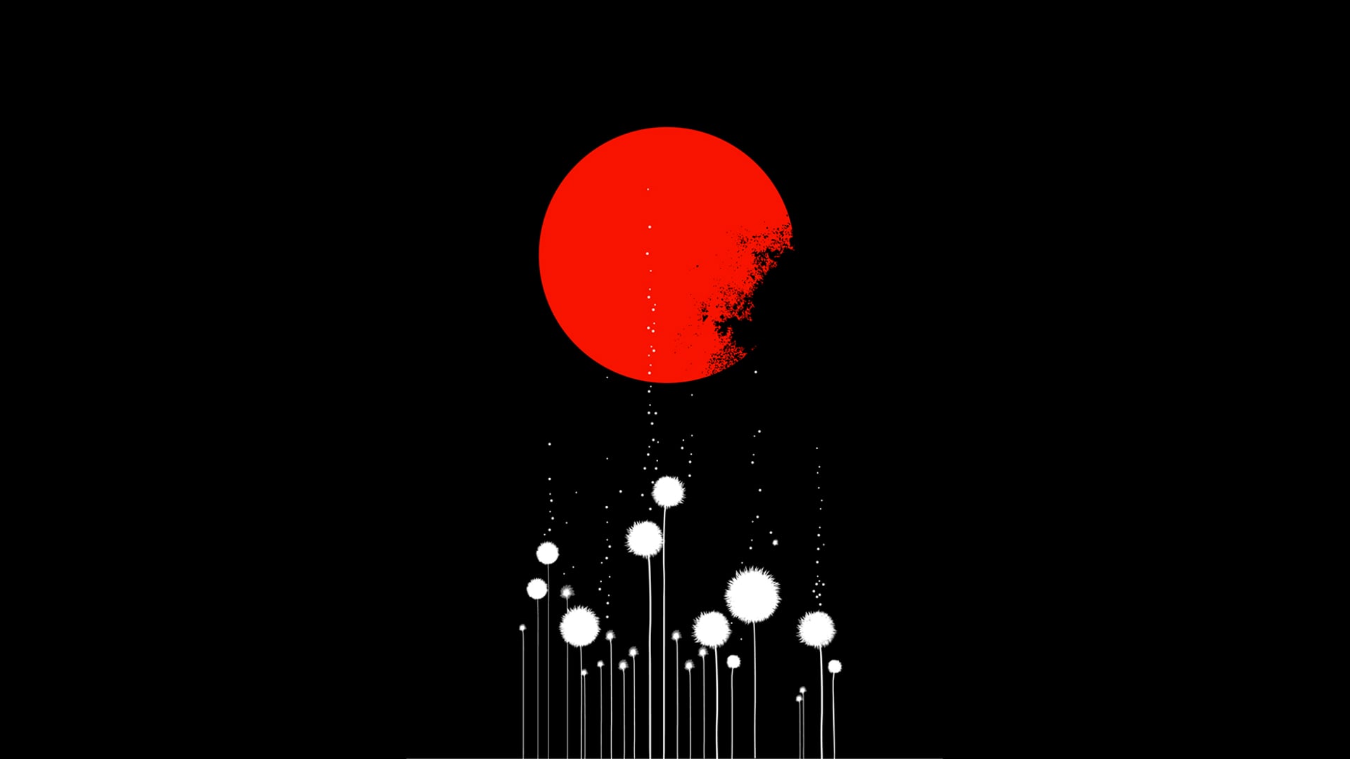 2024 October 23: Investigation and Beginner’s Mind