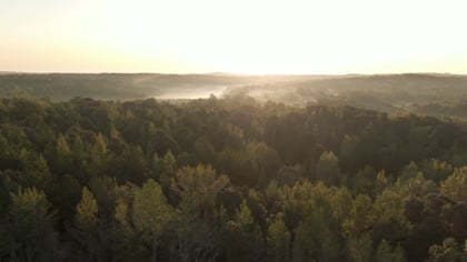 Vimeo video thumbnail