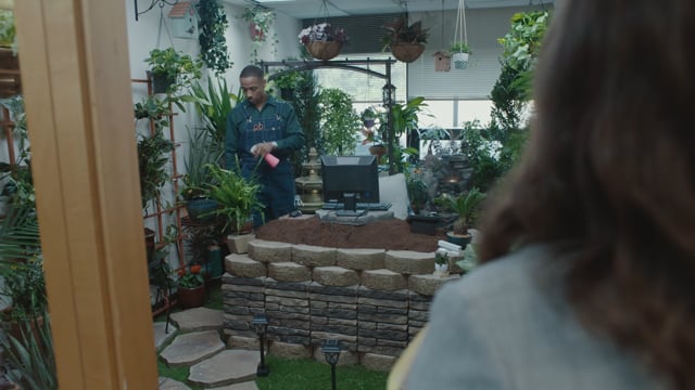 Plants