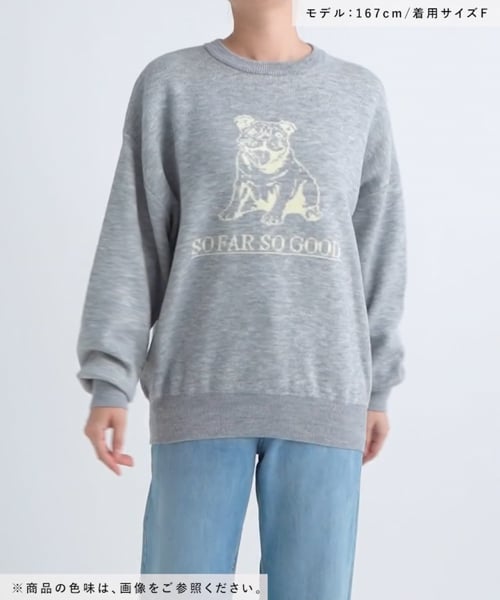 アニマルロゴジャガードニット/アウトレット価格 | [公式]ラコレ