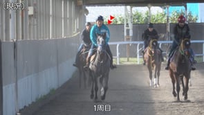 動画サムネイル