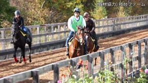動画サムネイル