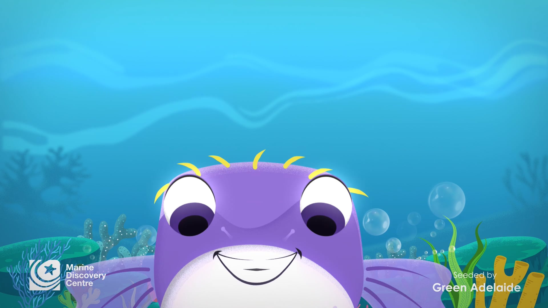 Porci's Ocean Patrol - Jingle