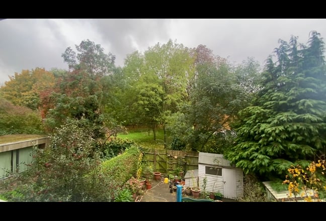 Single Room on Hampstead Heath Main Photo