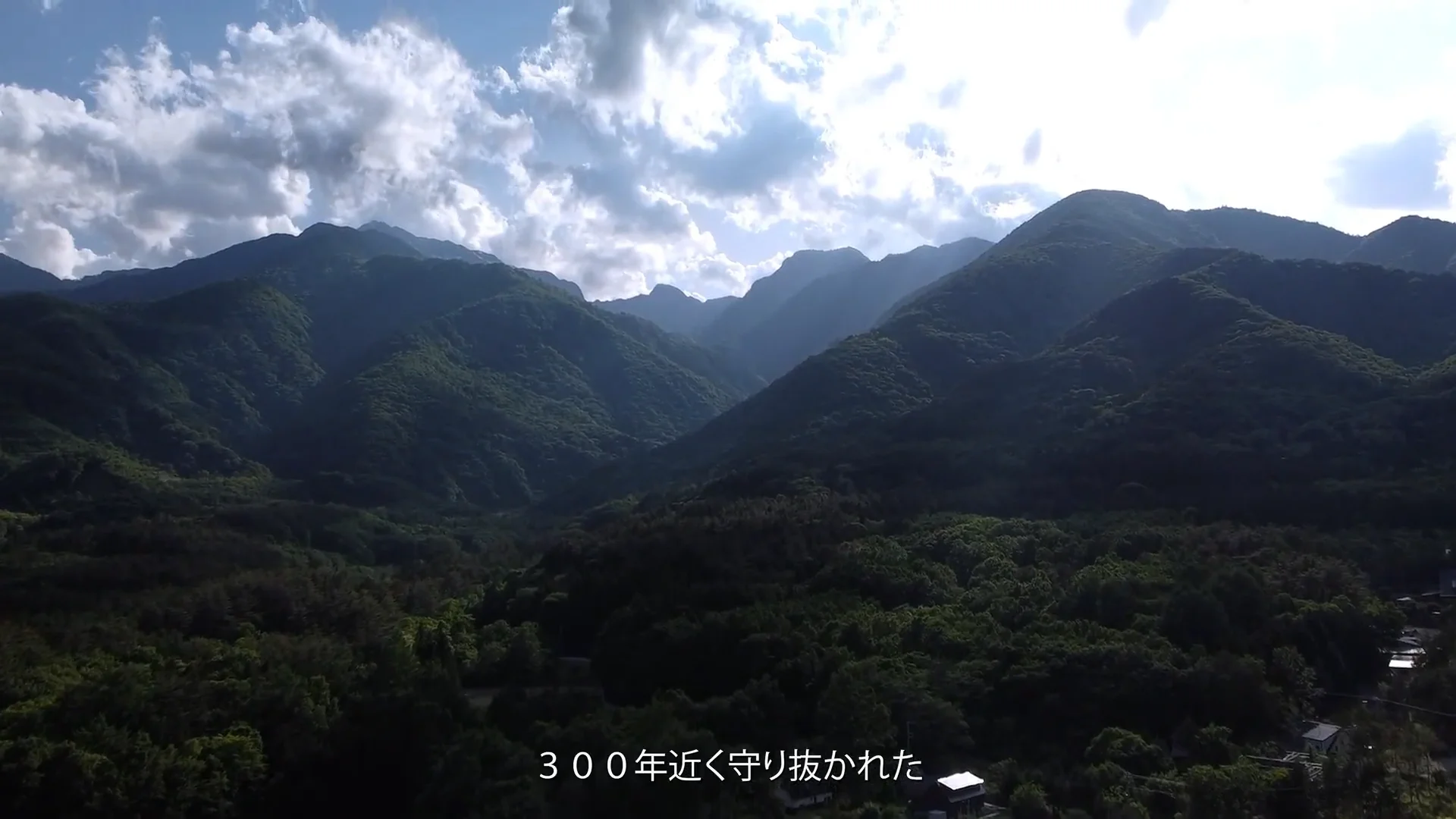 限定　土蔵熟成七賢大吟醸1980年醸造甲州印伝の袋付 ギフト | Products | 七賢 | 山梨銘醸株式会社