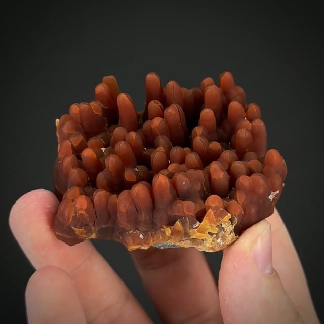 Calcite stalactites (rare - 1970 finds)