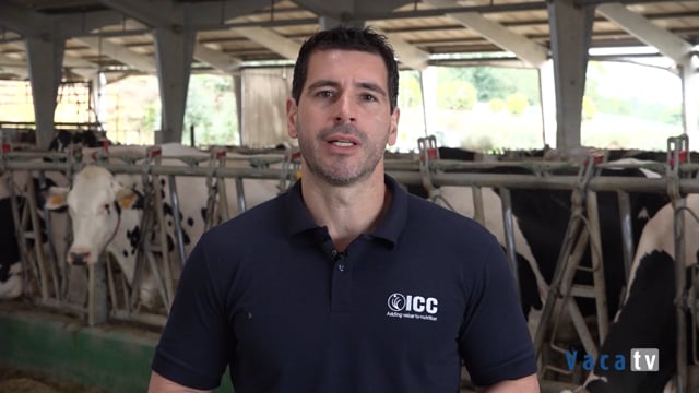 Rodrigo Gardinal, de ICC Brasil, desvela los beneficios de la levadura inactiva autolisada RumenYeast