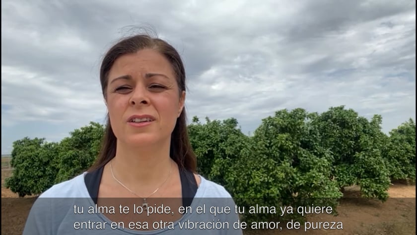 vimeo-video-thumbnail