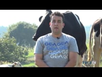 Confianza en los robots GEA para incrementar la producción y el bienestar de las vacas