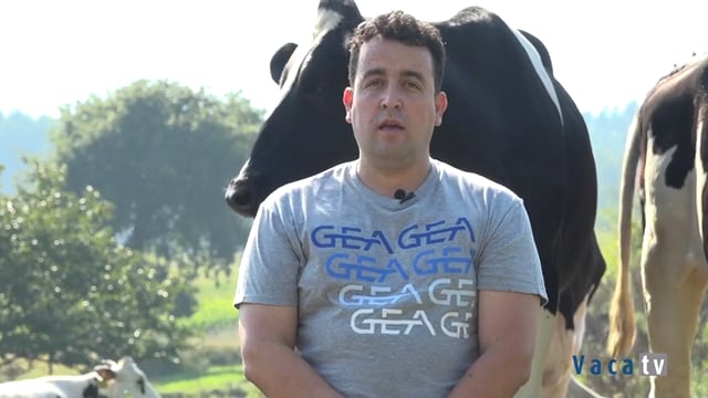 Confianza en los robots GEA para incrementar la producción y el bienestar de las vacas