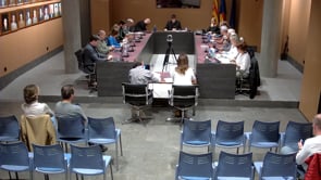 El Ple aprova el Pla Estratègic de Subvencions