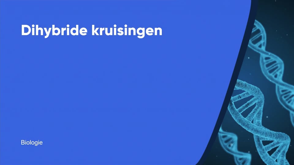 Dihybride kruisingen