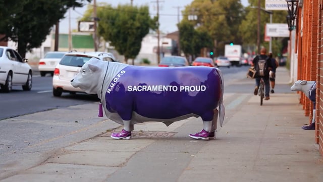 Sacramento Kings | Sacramento Proud