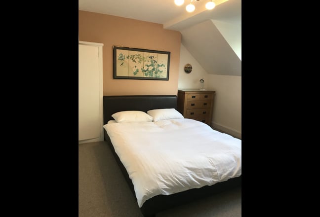 Seek 1 professional short to medium-term lodger Main Photo