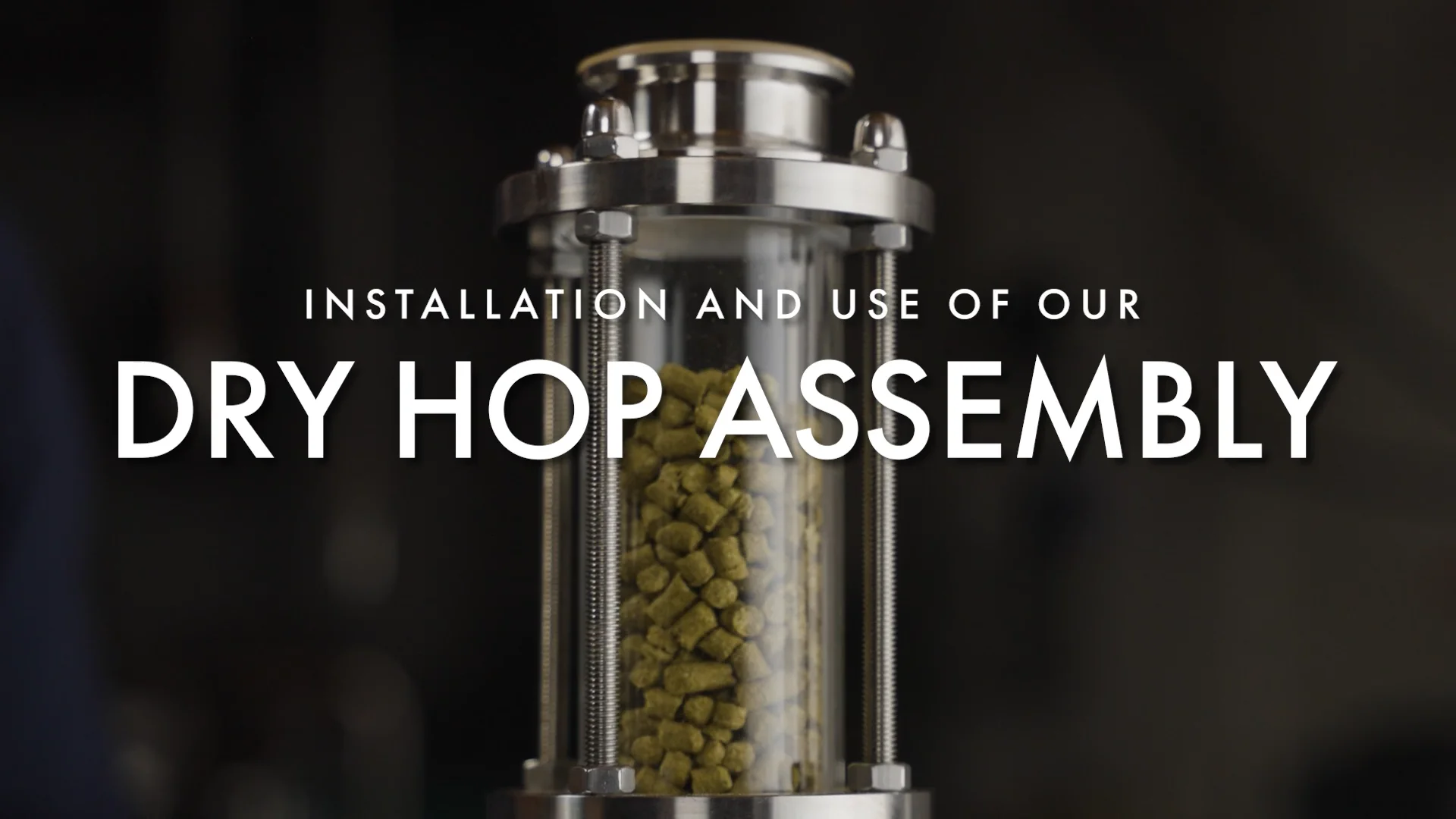 Dry Hop Sight Glass Assembly