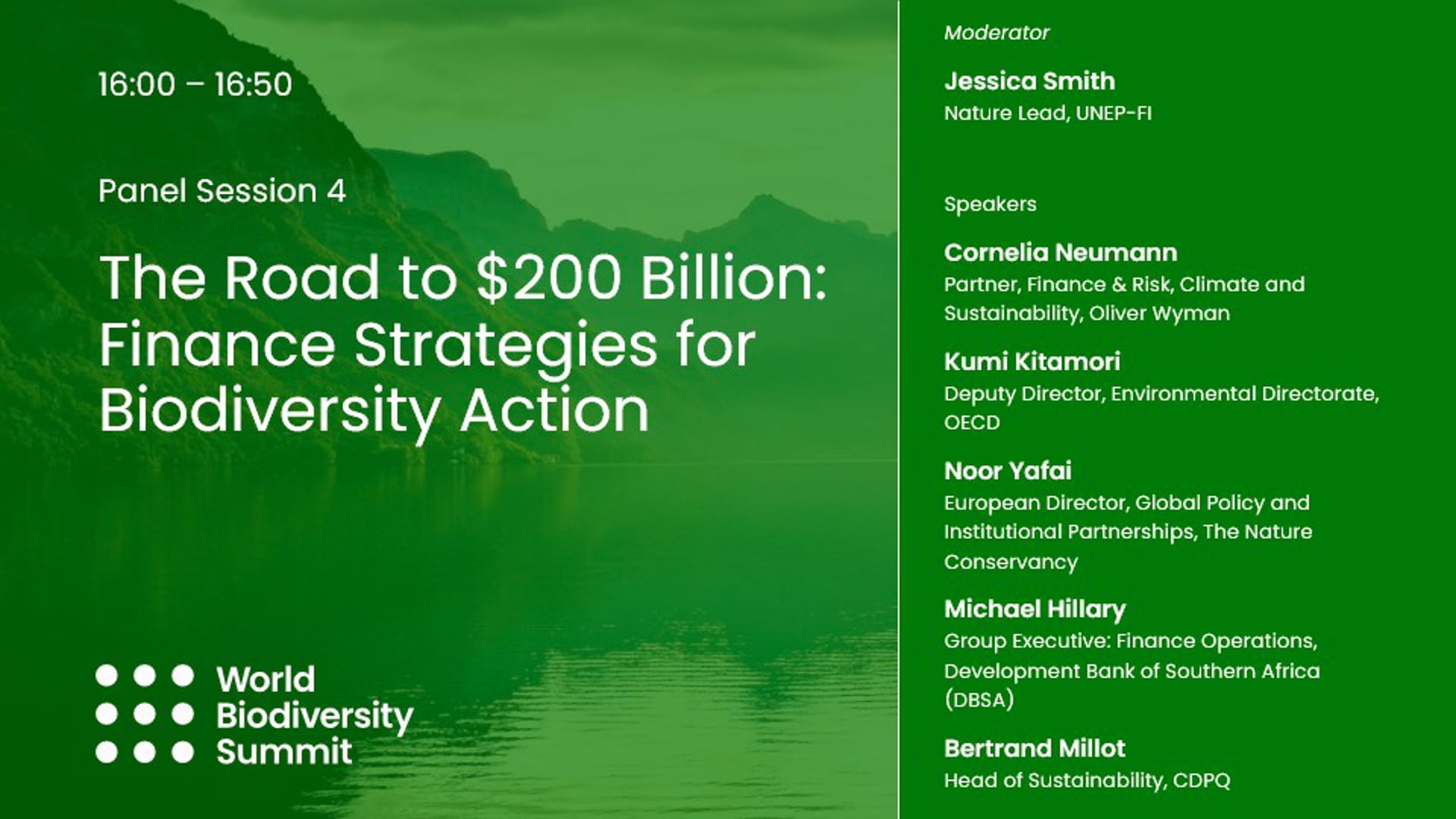 The Road to $200 Billion- Finance Strategies for Biodiversity Action_1